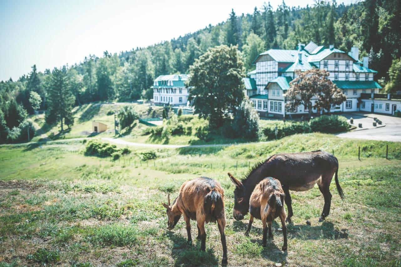 Retro Hotel Pod Zvicinou Bílá Třemešná Esterno foto